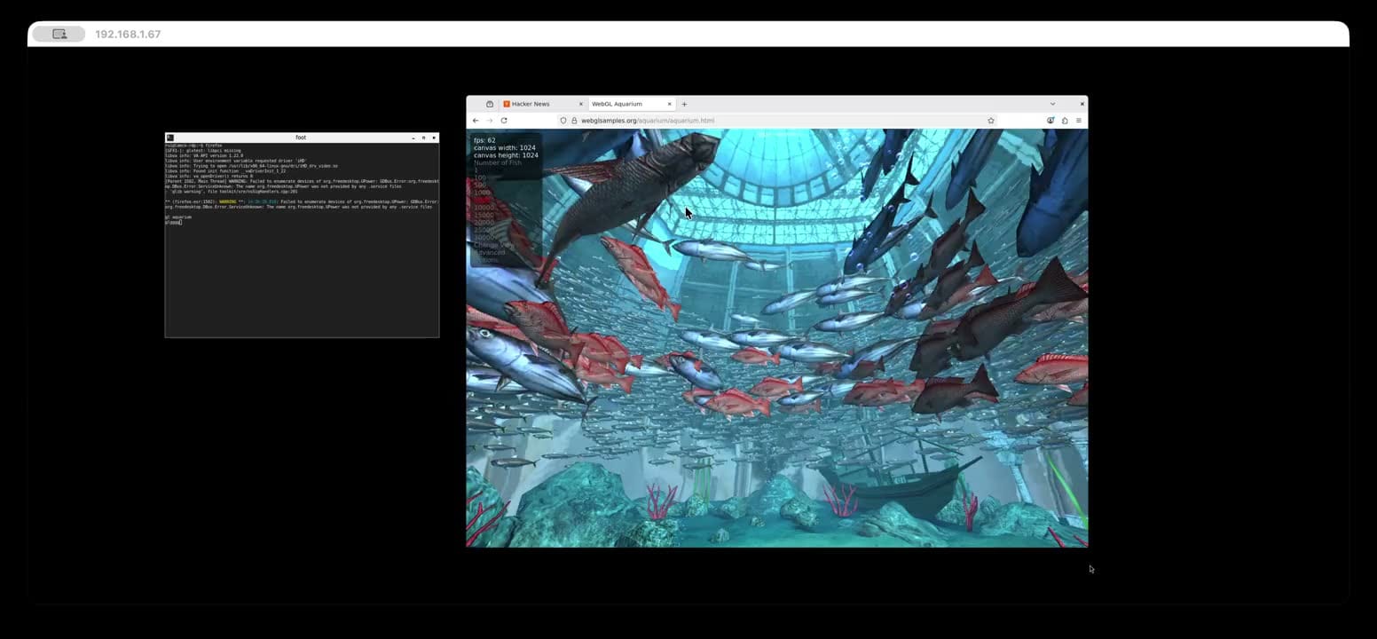 Your browser cannot play this video