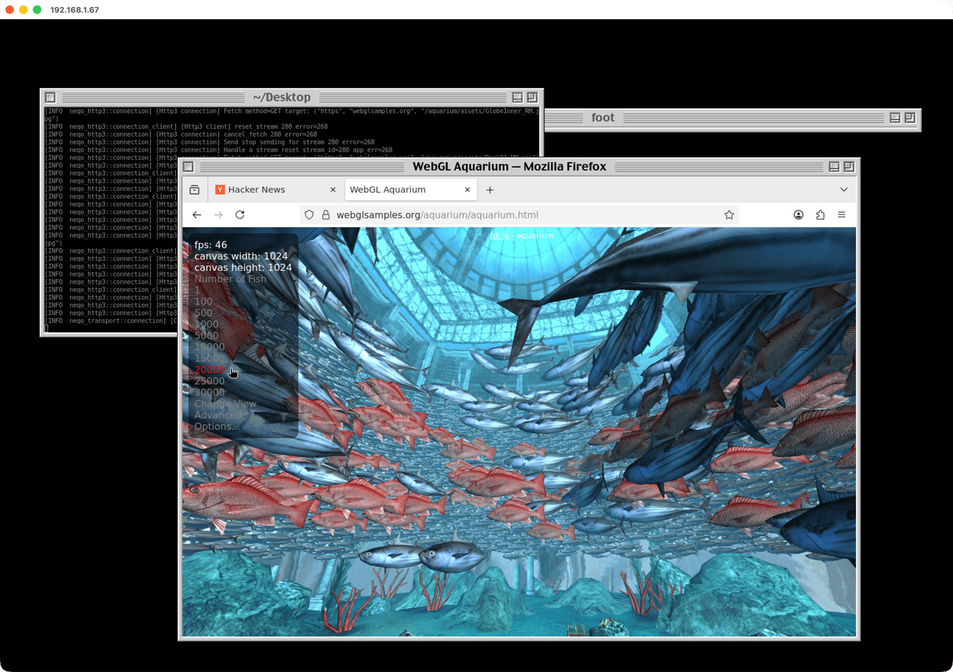 A remote Wayland desktop with Platinum-style window decorations running a WebGL aquarium