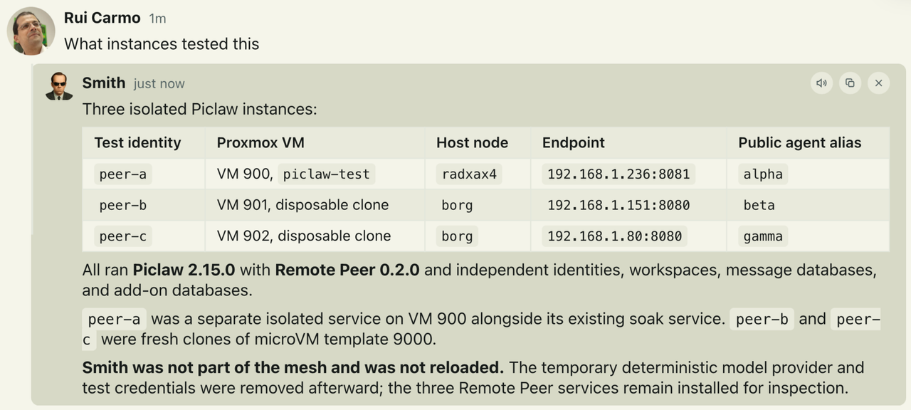 Sol provisioning two additional Piclaw instances, testing Remote Peer across all three and publishing Piclaw 2.15.0