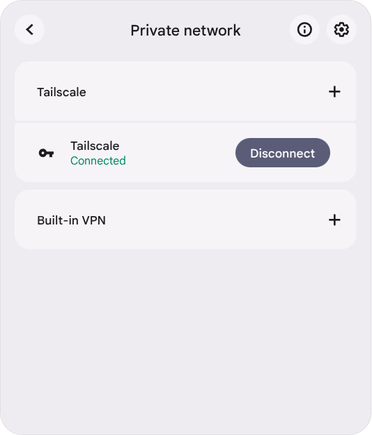 ChromeOS Private network panel showing Tailscale connected