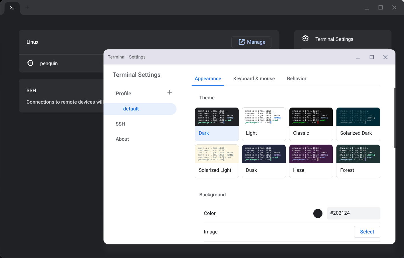 ChromeOS Terminal settings with appearance themes, keyboard and mouse options, and SSH configuration