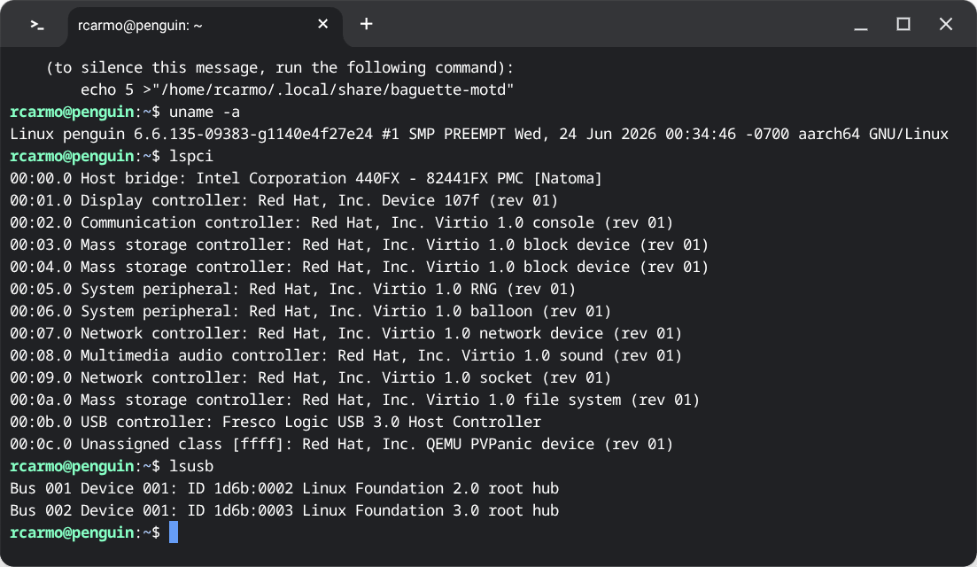 Linux terminal output from uname, lspci and lsusb showing an aarch64 kernel and virtual devices